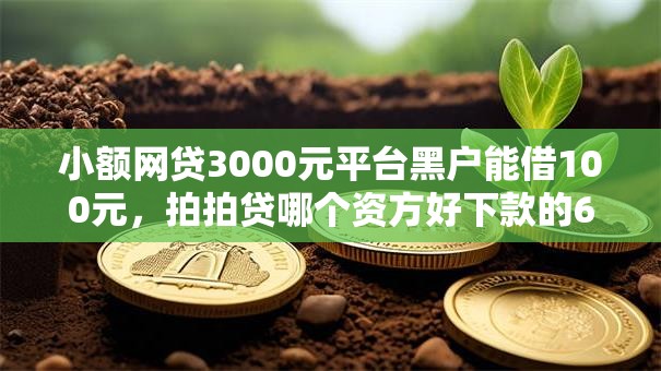 小额网贷3000元平台黑户能借100元，拍拍贷哪个资方好下款的6个平台介绍