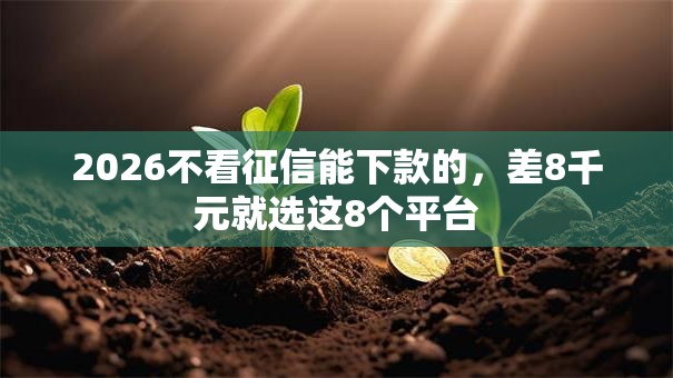 2026不看征信能下款的,差8千元就选这8个平台 2026不看征信能下款的,差8千元就选这8个平台