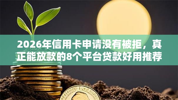 2026年信用卡申请没有被拒,真正能放款的8个平台贷款好用推荐 2026年信用卡申请没有被拒,真正能放款的8个平台贷款好用推荐