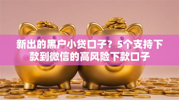 新出的黑户小贷口子?5个支持下款到微信的高风险下款口子 新出的黑户小贷口子?5个支持下款到微信的高风险下款口子