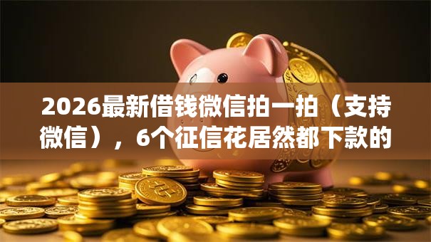 2026最新借钱微信拍一拍(支持微信),6个征信花居然都下款的app无私分享 2026最新借钱微信拍一拍(支持微信),6个征信花居然都下款的app无私分享