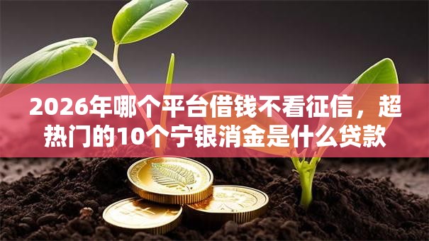 2026年哪个平台借钱不看征信,超热门的10个宁银消金是什么贷款平台推荐 2026年哪个平台借钱不看征信,超热门的10个宁银消金是什么贷款平台推荐