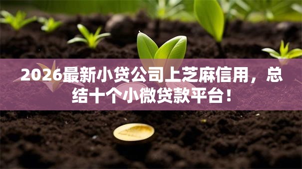 2026最新小贷公司上芝麻信用，总结十个小微贷款平台！