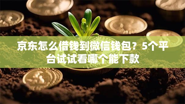 京东怎么借钱到微信钱包?5个平台试试看哪个能下款 京东怎么借钱到微信钱包?5个平台试试看哪个能下款