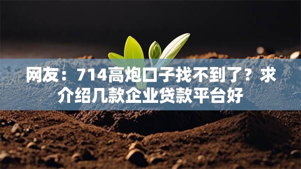 网友：714高炮口子找不到了？求介绍几款企业贷款平台好