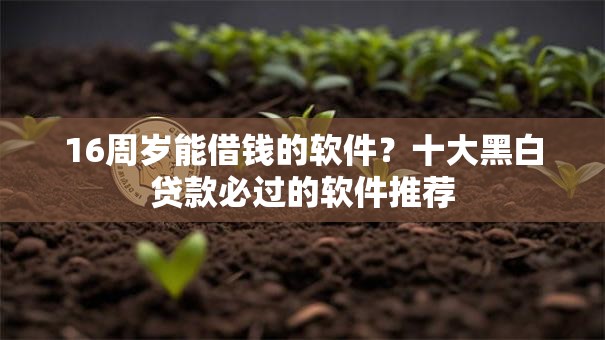 16周岁能借钱的软件？十大黑白贷款必过的软件推荐