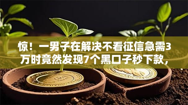 惊!一男子在解决不看征信急需3万时竟然发现7个黑口子秒下款,事后分享了出来 惊!一男子在解决不看征信急需3万时竟然发现7个黑口子秒下款,事后分享了出来
