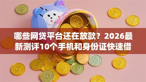 哪些网贷平台还在放款？2026最新测评10个手机和身份证快速借钱app