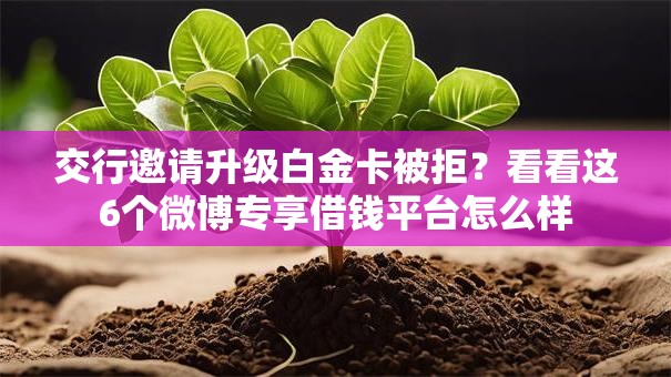 交行邀请升级白金卡被拒?看看这6个微博专享借钱平台怎么样 交行邀请升级白金卡被拒?看看这6个微博专享借钱平台怎么样