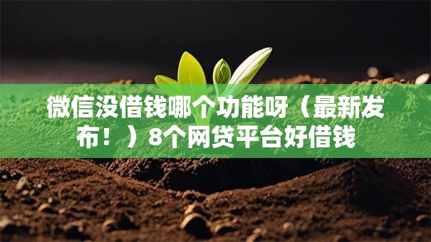 微信没借钱哪个功能呀（最新发布！）8个网贷平台好借钱