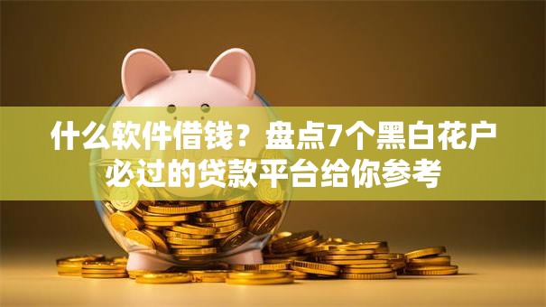 什么软件借钱？盘点7个黑白花户必过的贷款平台给你参考
