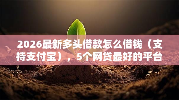 2026最新多头借款怎么借钱(支持支付宝),5个网贷最好的平台排名不分先后无私分享 2026最新多头借款怎么借钱(支持支付宝),5个网贷最好的平台排名不分先后无私分享