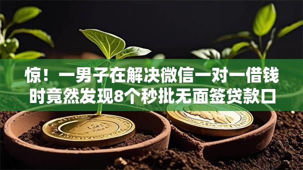 惊！一男子在解决微信一对一借钱时竟然发现8个秒批无面签贷款口子，事后分享了出来