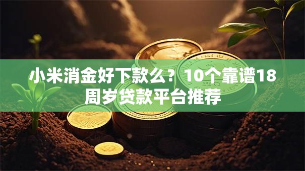 小米消金好下款么？10个靠谱18周岁贷款平台推荐