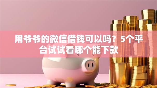 用爷爷的微信借钱可以吗？5个平台试试看哪个能下款
