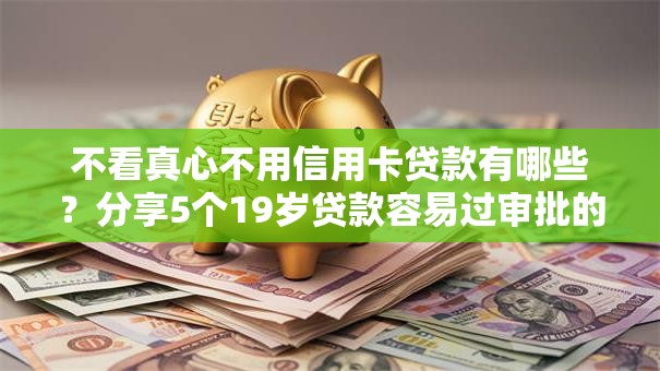 不看真心不用信用卡贷款有哪些？分享5个19岁贷款容易过审批的软件