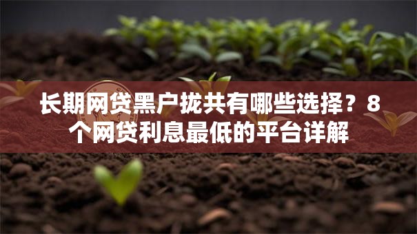 长期网贷黑户拢共有哪些选择？8个网贷利息最低的平台详解