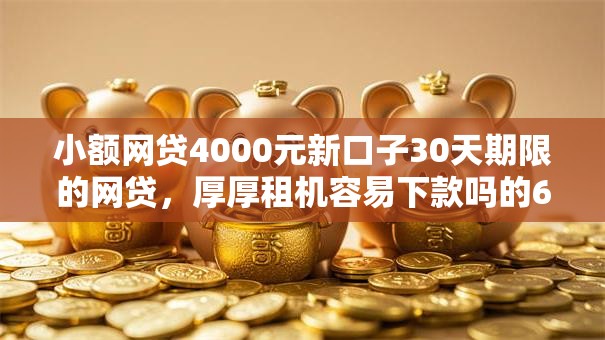 小额网贷4000元新口子30天期限的网贷，厚厚租机容易下款吗的6个平台介绍