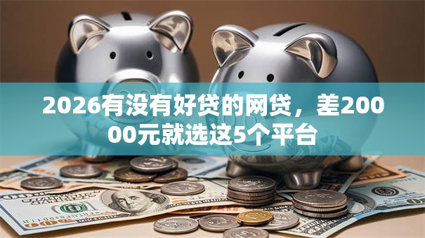 2026有没有好贷的网贷，差20000元就选这5个平台