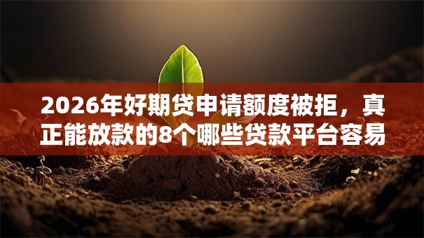 2026年好期贷申请额度被拒,真正能放款的8个哪些贷款平台容易下款推荐 2026年好期贷申请额度被拒,真正能放款的8个哪些贷款平台容易下款推荐