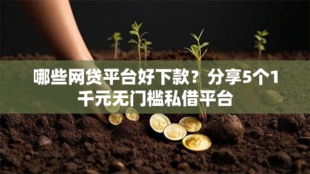 哪些网贷平台好下款？分享5个1千元无门槛私借平台