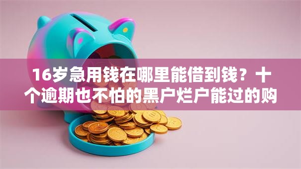 16岁急用钱在哪里能借到钱？十个逾期也不怕的黑户烂户能过的购物平台
