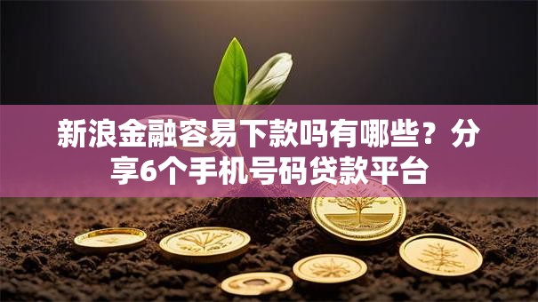 新浪金融容易下款吗有哪些?分享6个手机号码贷款平台 新浪金融容易下款吗有哪些?分享6个手机号码贷款平台