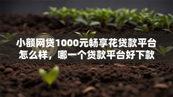 小额网贷1000元畅享花贷款平台怎么样,哪一个贷款平台好下款的8个平台介绍 小额网贷1000元畅享花贷款平台怎么样,哪一个贷款平台好下款的8个平台介绍