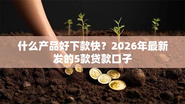 什么产品好下款快?2026年最新发的5款贷款口子 什么产品好下款快?2026年最新发的5款贷款口子