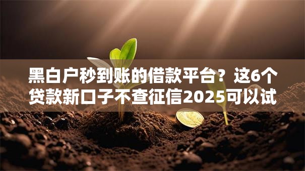 黑白户秒到账的借款平台?这6个贷款新口子不查征信2025可以试试 黑白户秒到账的借款平台?这6个贷款新口子不查征信2025可以试试