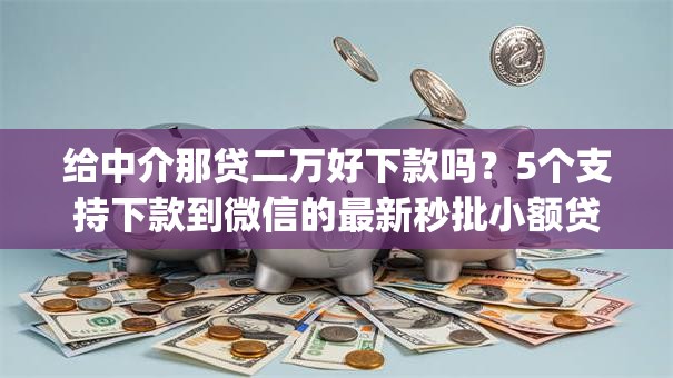 给中介那贷二万好下款吗?5个支持下款到微信的最新秒批小额贷款app 给中介那贷二万好下款吗?5个支持下款到微信的最新秒批小额贷款app