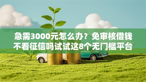 急需3000元怎么办？免审核借钱不看征信吗试试这8个无门槛平台