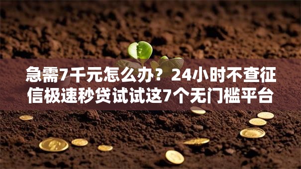 急需7千元怎么办？24小时不查征信极速秒贷试试这7个无门槛平台