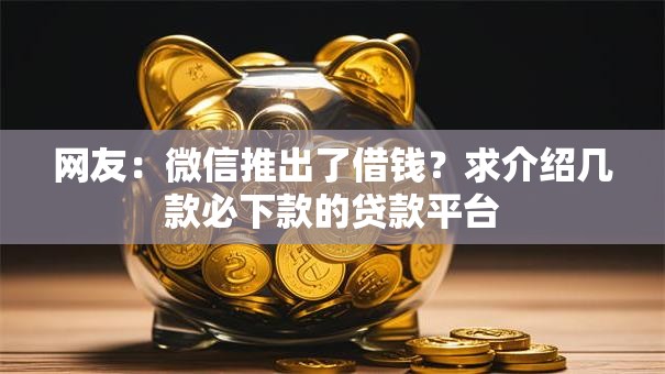 网友:微信推出了借钱?求介绍几款必下款的贷款平台 网友:微信推出了借钱?求介绍几款必下款的贷款平台