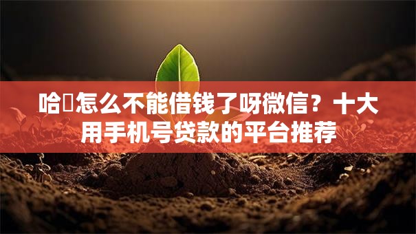 哈啰怎么不能借钱了呀微信?十大用手机号贷款的平台推荐 哈啰怎么不能借钱了呀微信?十大用手机号贷款的平台推荐
