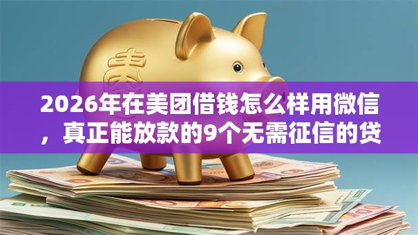 2026年在美团借钱怎么样用微信,真正能放款的9个无需征信的贷款平台推荐 2026年在美团借钱怎么样用微信,真正能放款的9个无需征信的贷款平台推荐