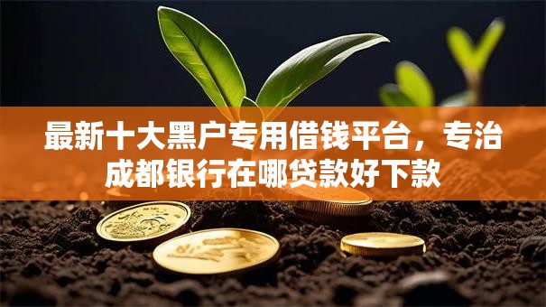 最新十大黑户专用借钱平台，专治成都银行在哪贷款好下款