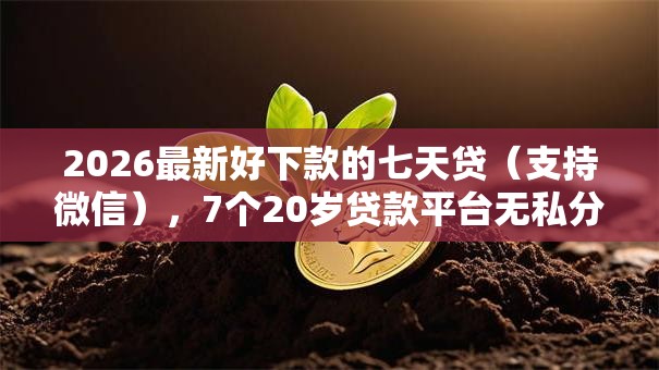 2026最新好下款的七天贷（支持微信），7个20岁贷款平台无私分享