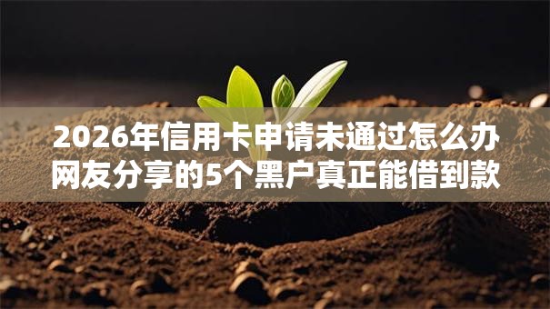 2026年信用卡申请未通过怎么办网友分享的5个黑户真正能借到款的口子我觉得不错! 2026年信用卡申请未通过怎么办网友分享的5个黑户真正能借到款的口子我觉得不错!