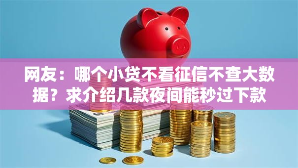 网友:哪个小贷不看征信不查大数据?求介绍几款夜间能秒过下款的口子 网友:哪个小贷不看征信不查大数据?求介绍几款夜间能秒过下款的口子