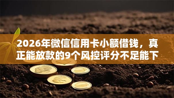 2026年微信信用卡小额借钱,真正能放款的9个风控评分不足能下款的平台推荐 2026年微信信用卡小额借钱,真正能放款的9个风控评分不足能下款的平台推荐