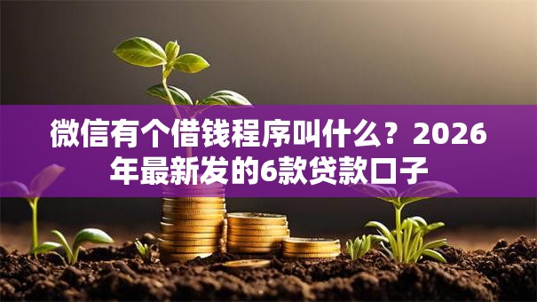 微信有个借钱程序叫什么？2026年最新发的6款贷款口子