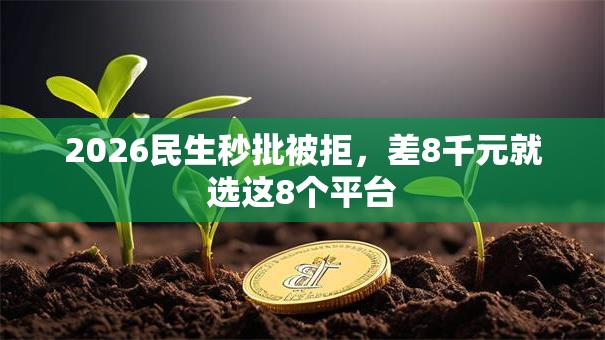 2026民生秒批被拒，差8千元就选这8个平台