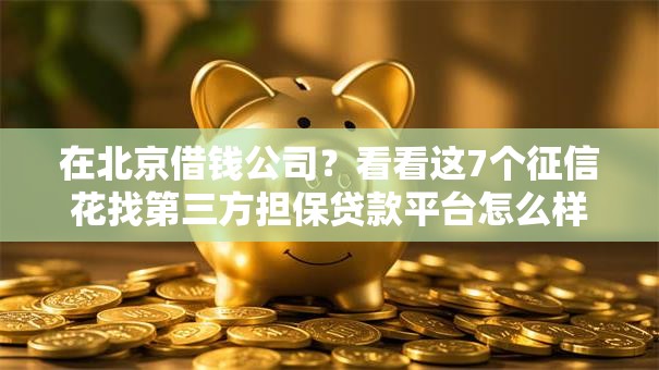 在北京借钱公司?看看这7个征信花找第三方担保贷款平台怎么样 在北京借钱公司?看看这7个征信花找第三方担保贷款平台怎么样