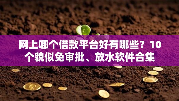 网上哪个借款平台好有哪些?10个貌似免审批、放水软件合集 网上哪个借款平台好有哪些?10个貌似免审批、放水软件合集