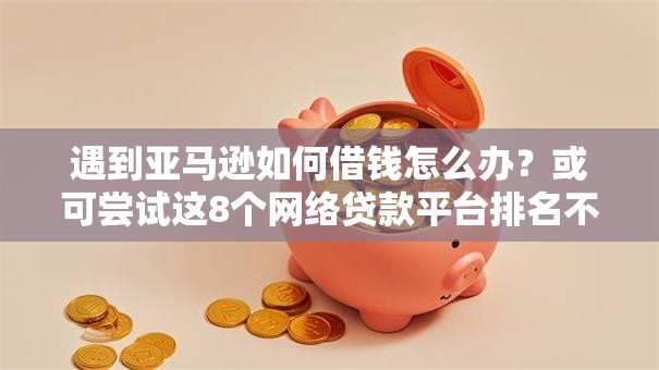遇到亚马逊如何借钱怎么办?或可尝试这8个网络贷款平台排名不分先后 遇到亚马逊如何借钱怎么办?或可尝试这8个网络贷款平台排名不分先后