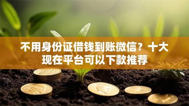 不用身份证借钱到账微信?十大现在平台可以下款推荐 不用身份证借钱到账微信?十大现在平台可以下款推荐
