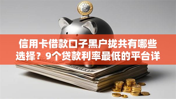 信用卡借款口子黑户拢共有哪些选择?9个贷款利率最低的平台详解 信用卡借款口子黑户拢共有哪些选择?9个贷款利率最低的平台详解