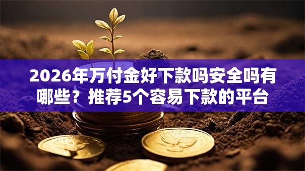 2026年万付金好下款吗安全吗有哪些?推荐5个容易下款的平台 2026年万付金好下款吗安全吗有哪些?推荐5个容易下款的平台