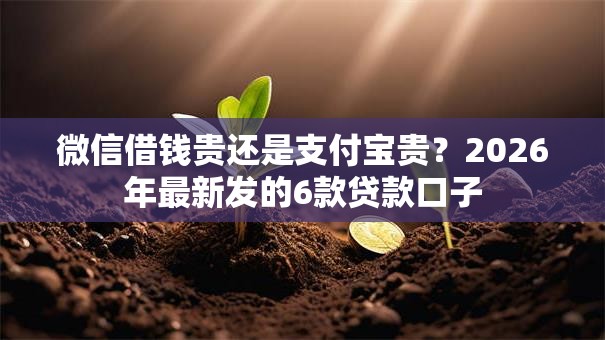 微信借钱贵还是支付宝贵?2026年最新发的6款贷款口子 微信借钱贵还是支付宝贵?2026年最新发的6款贷款口子